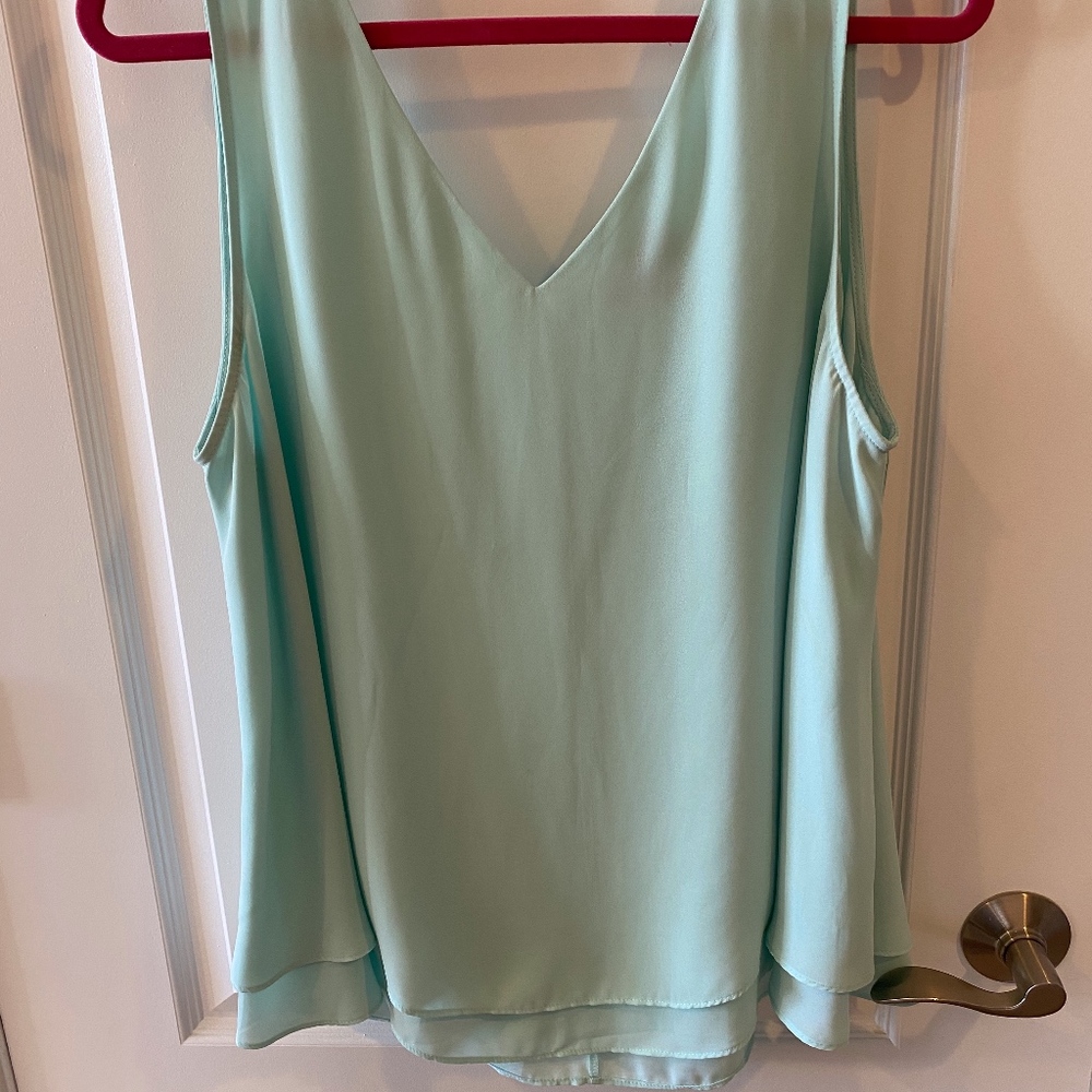 The Limited Mint Flowy Top